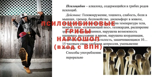 тгк Алексин